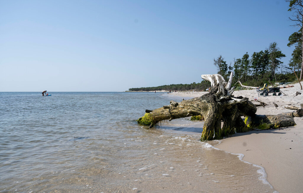 Feriehus - Dueodde , Danmark - I51979 30