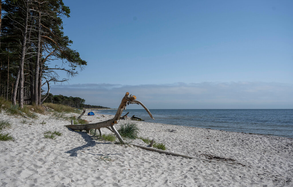 Feriehus - Dueodde , Danmark - I51979 31