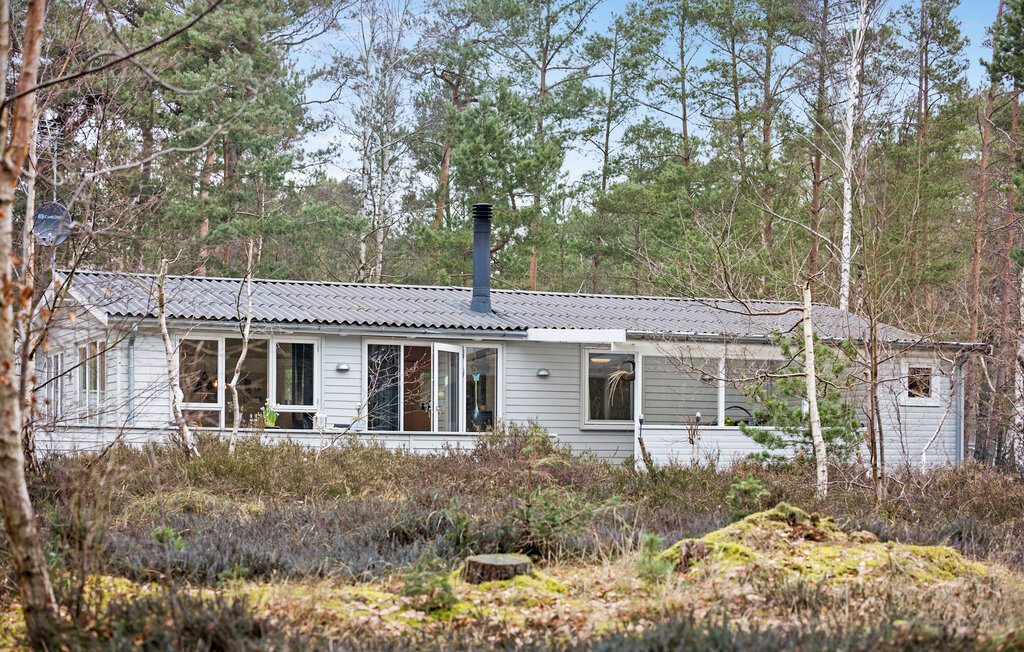 Ferienhaus - Dueodde , Dänemark - I51908 2