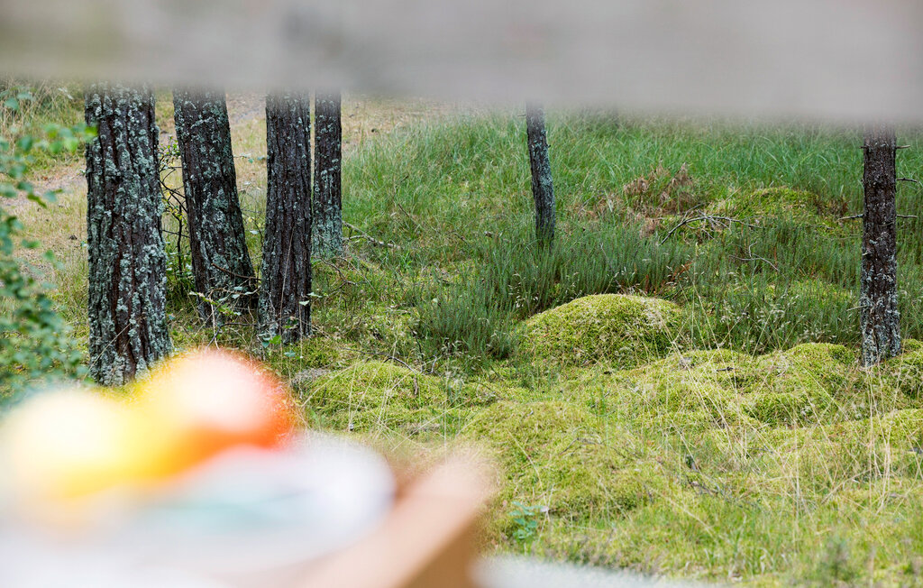 Ferienhaus - Dueodde , Dänemark - I51895 12