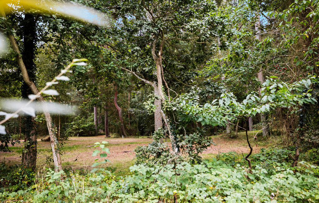 Feriehus - Dueodde , Danmark - I51998 14