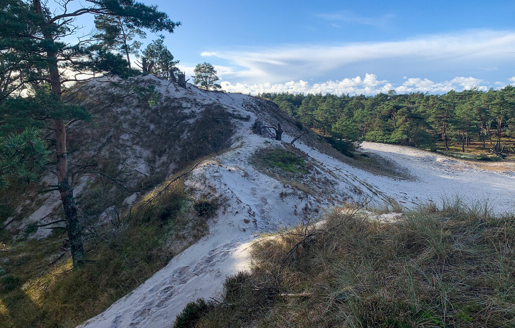 Feriehuse - Dueodde , Danmark - I51024 30