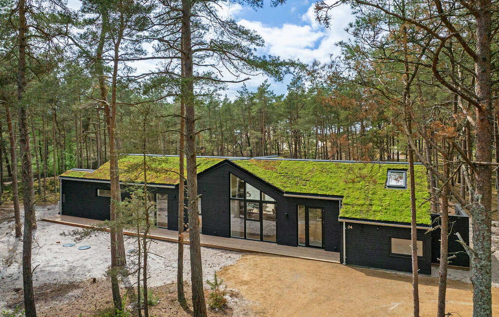 Feriehuse - Dueodde , Danmark - I51024 10