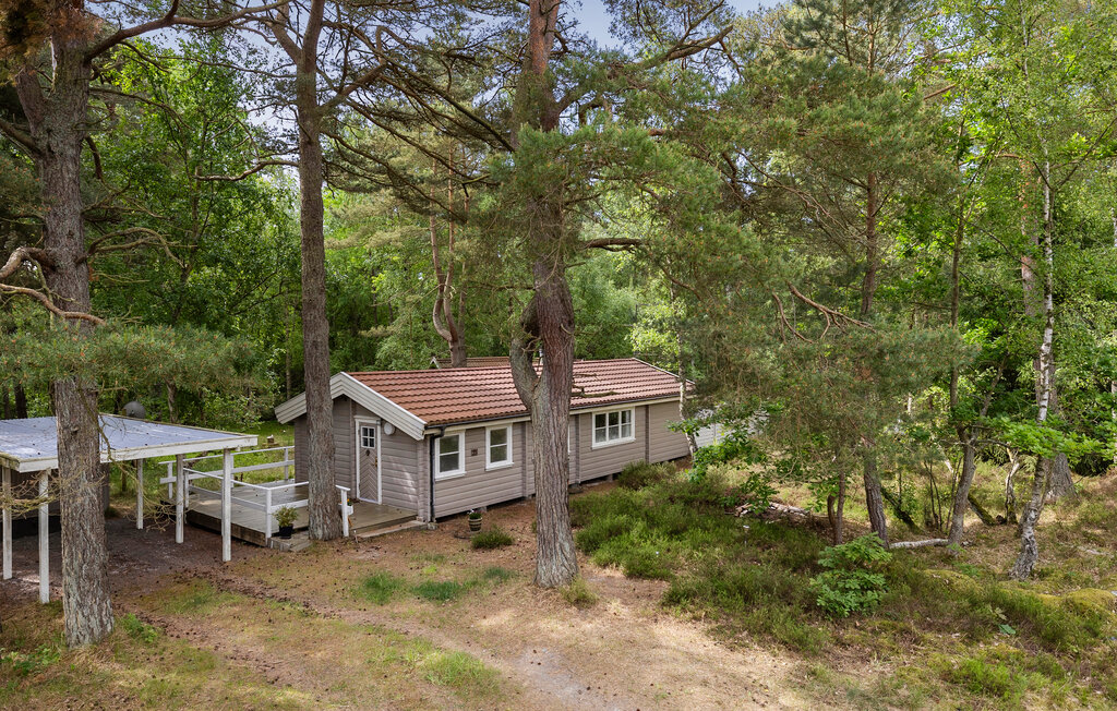 Feriehus - Dueodde , Danmark - I51819 10