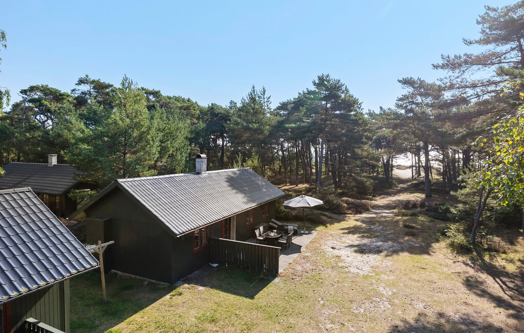 Ferienhaus - Dueodde , Dänemark - I51945 8