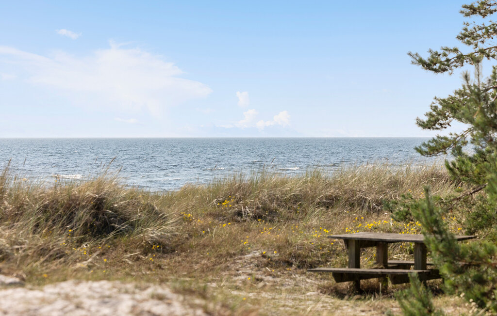 Ferienhaus - Dueodde , Dänemark - I51945 9