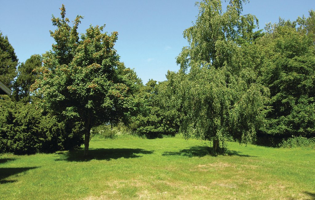 Bild 11 Bild 11