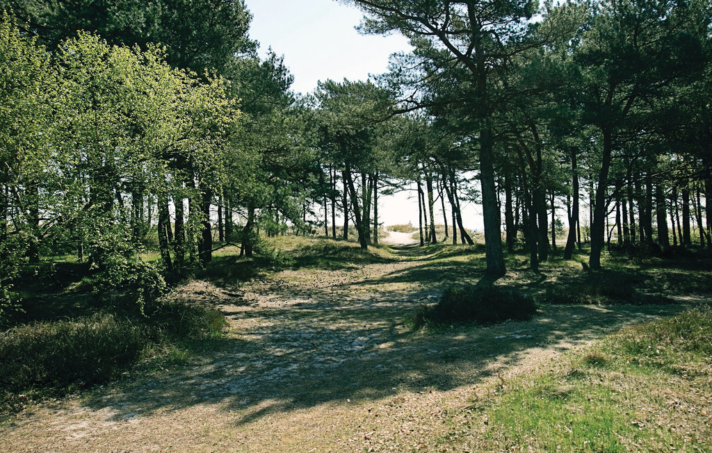 Holiday Home "Dueodde Ferieby"