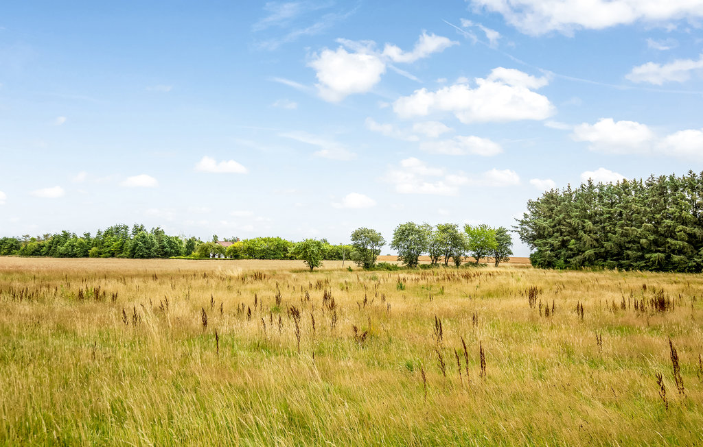 Feriehus - Pedersker , Danmark - I52106 3