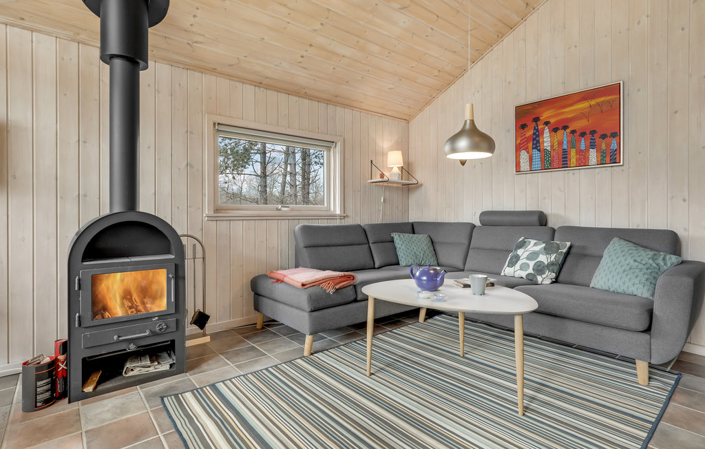 Ferienhaus - Vestre Sømark , Dänemark - I52610 14