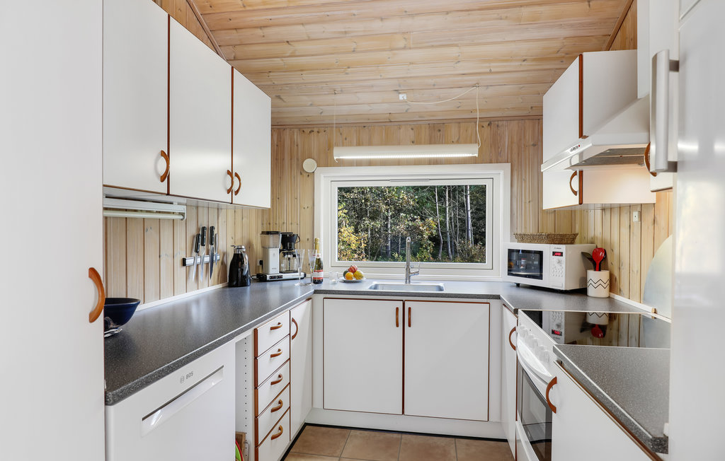 Ferienhaus - Vester Sømark , Dänemark - I52668 6