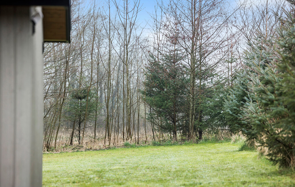 Feriehuse - Havrebakken , Danmark - I52107 10