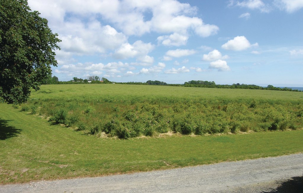 Ferieleilighet - Boderne , Danmark - I53545 14