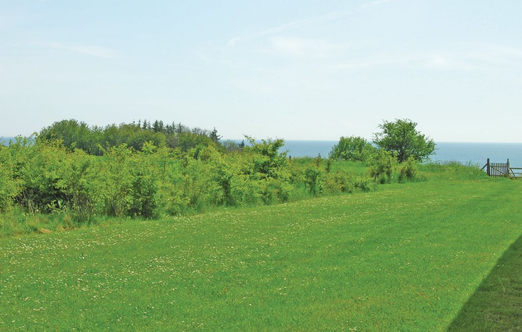 Ferieleilighet - Boderne , Danmark - I53544 16