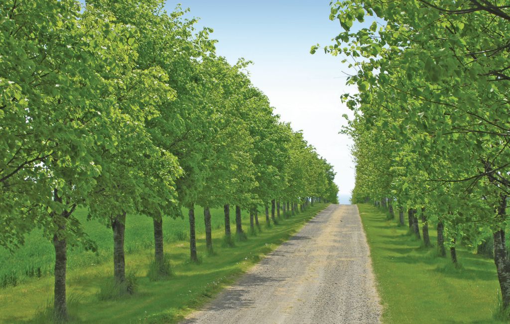 Ferieleilighet - Boderne , Danmark - I53523 19