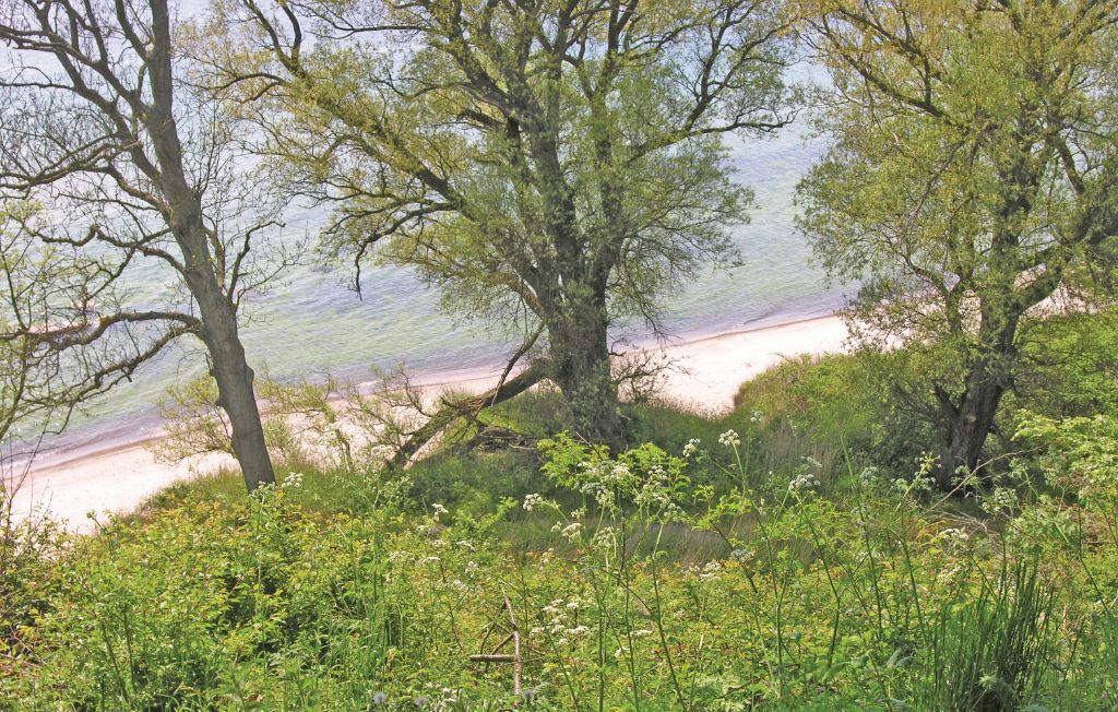 Ferieleilighet - Boderne , Danmark - I53523 18