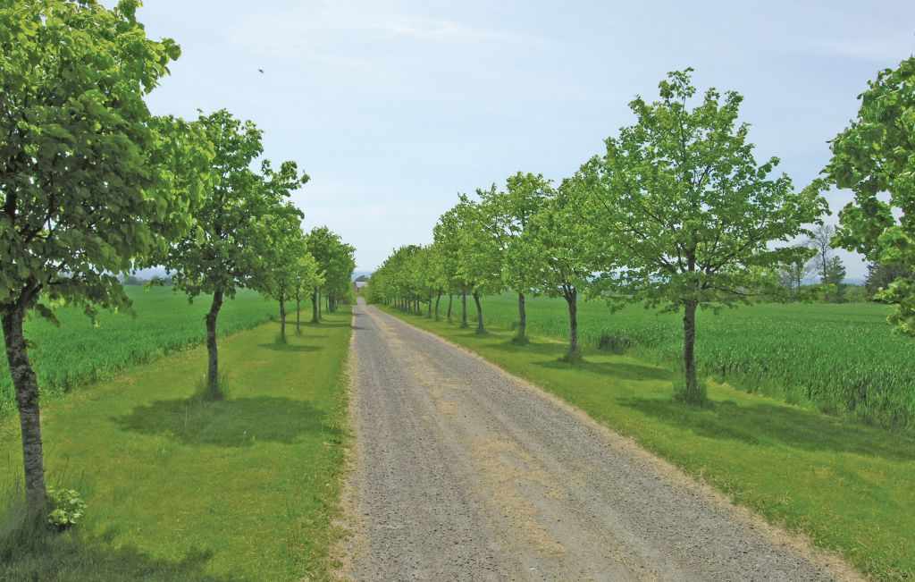Ferieleilighet - Boderne , Danmark - I53524 17