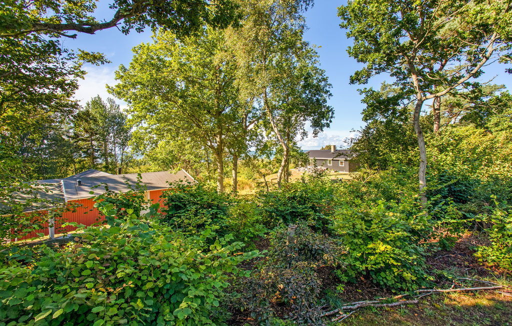 Feriehus - Boderne , Danmark - I53222 18