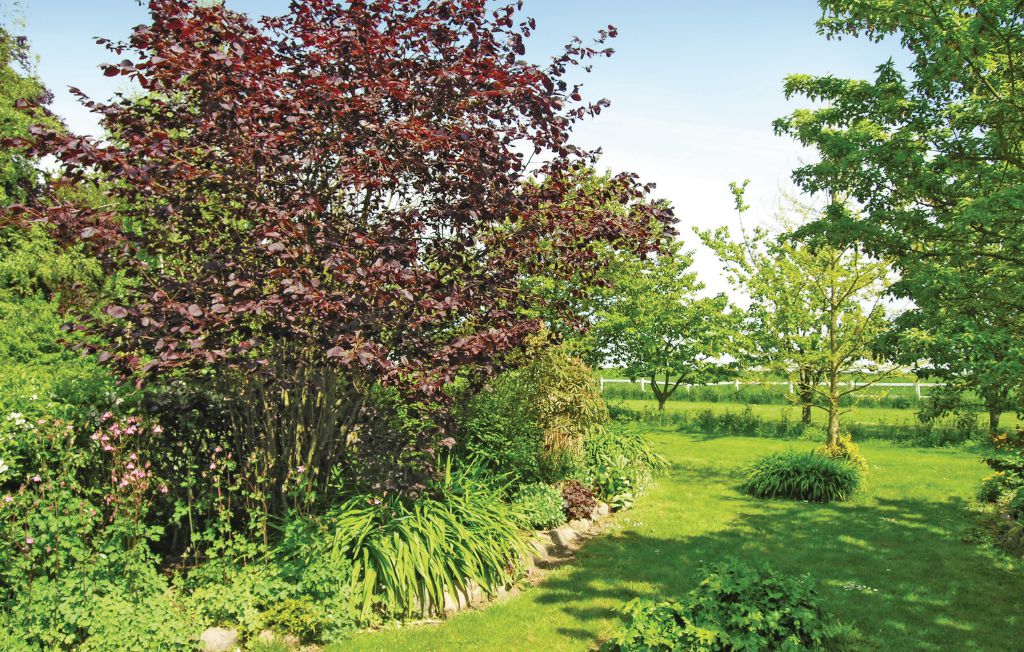 Ferieleilighet - Boderne , Danmark - I53524 5