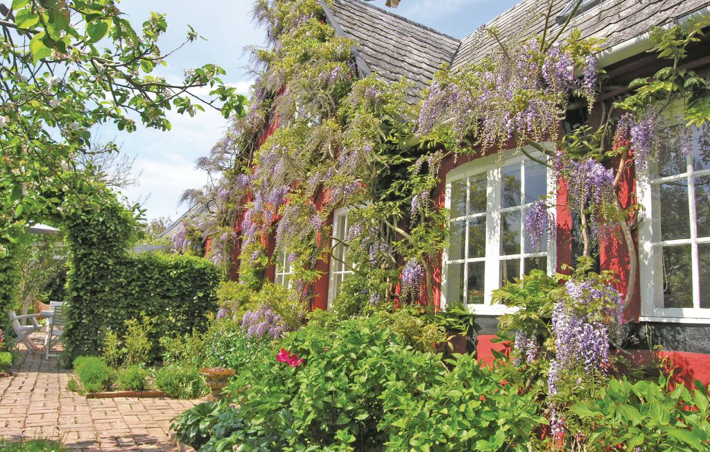 Ferieleilighet - Boderne , Danmark - I53523 5