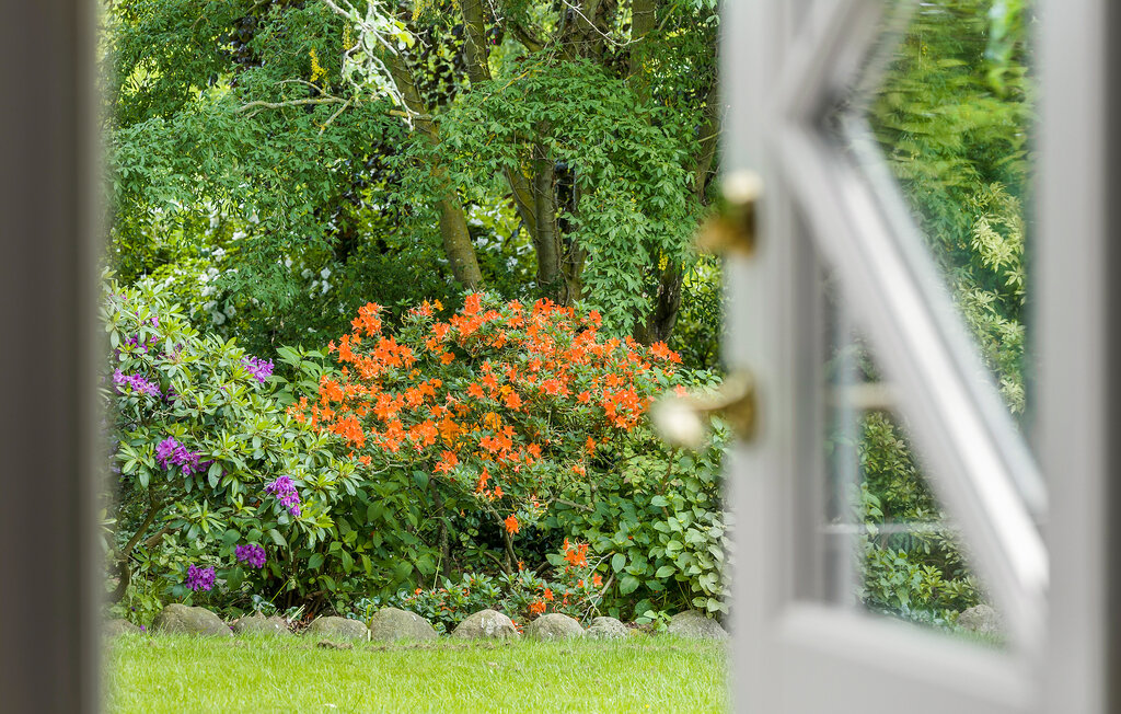 Ferieleilighet - Boderne , Danmark - I53522 14