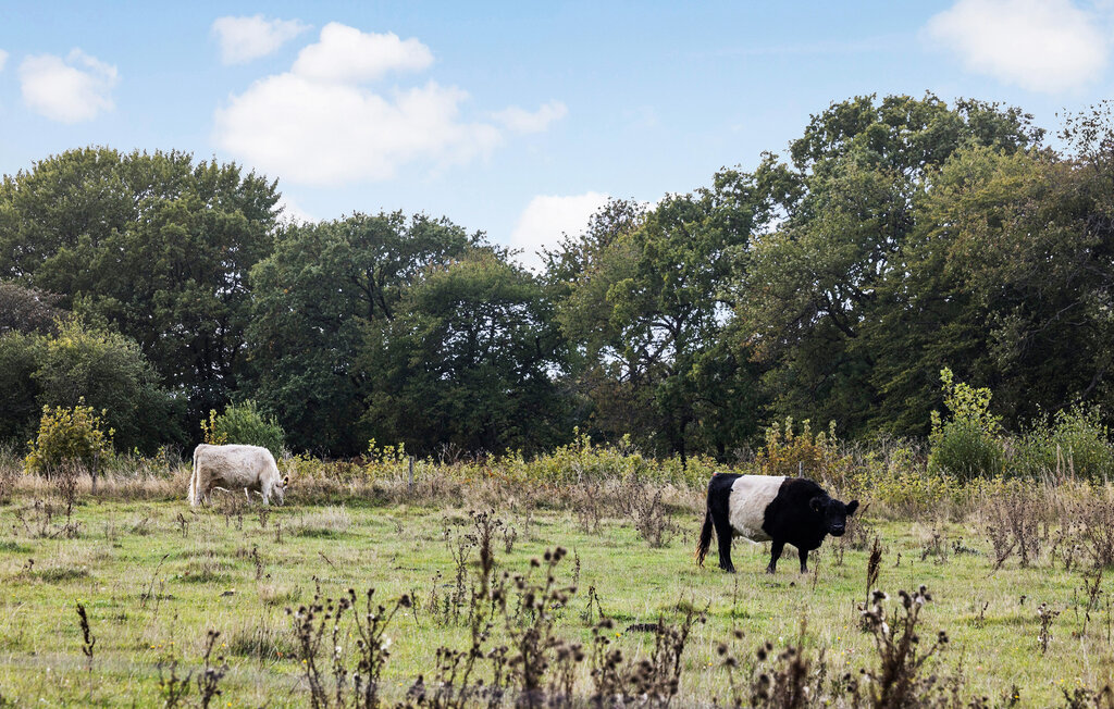 Ferienhaus - Aakirkeby , Dänemark - I53124 14