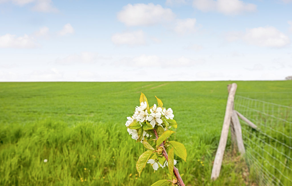Feriehuse - Arnager , Danmark - I54004 20