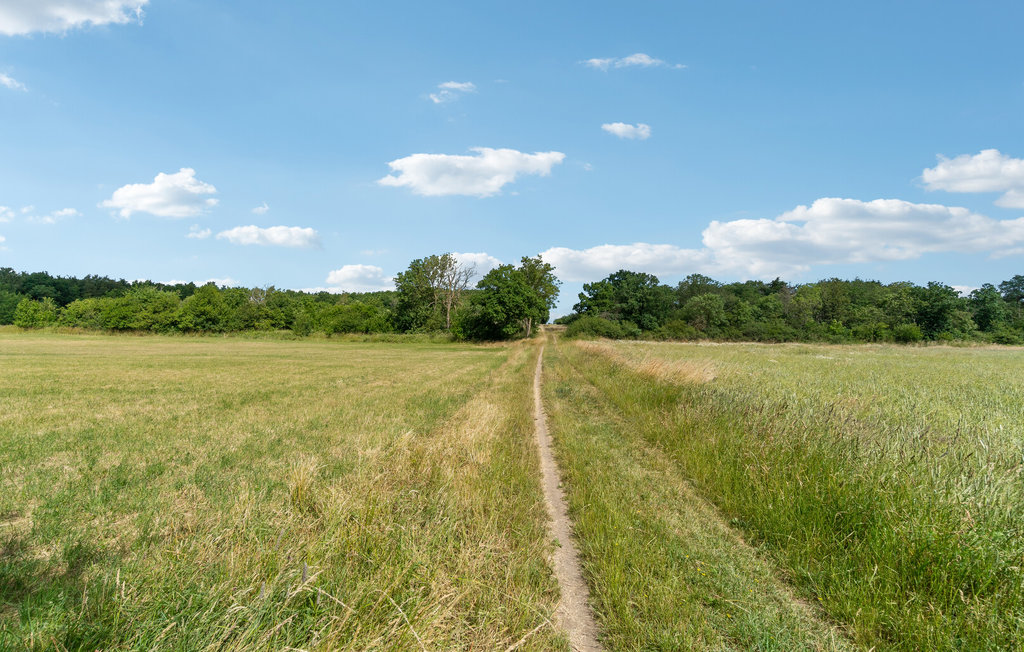 Ferienwohnung - Lobbæk , Dänemark - I54962 3