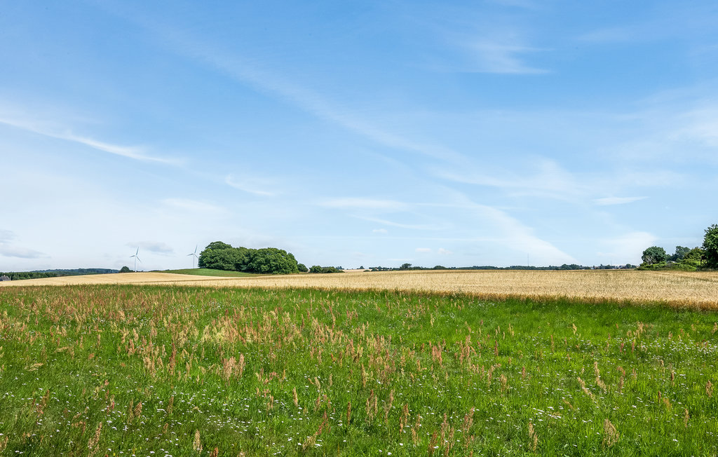 Ferienhaus - Sorthat , Dänemark - I55222 19