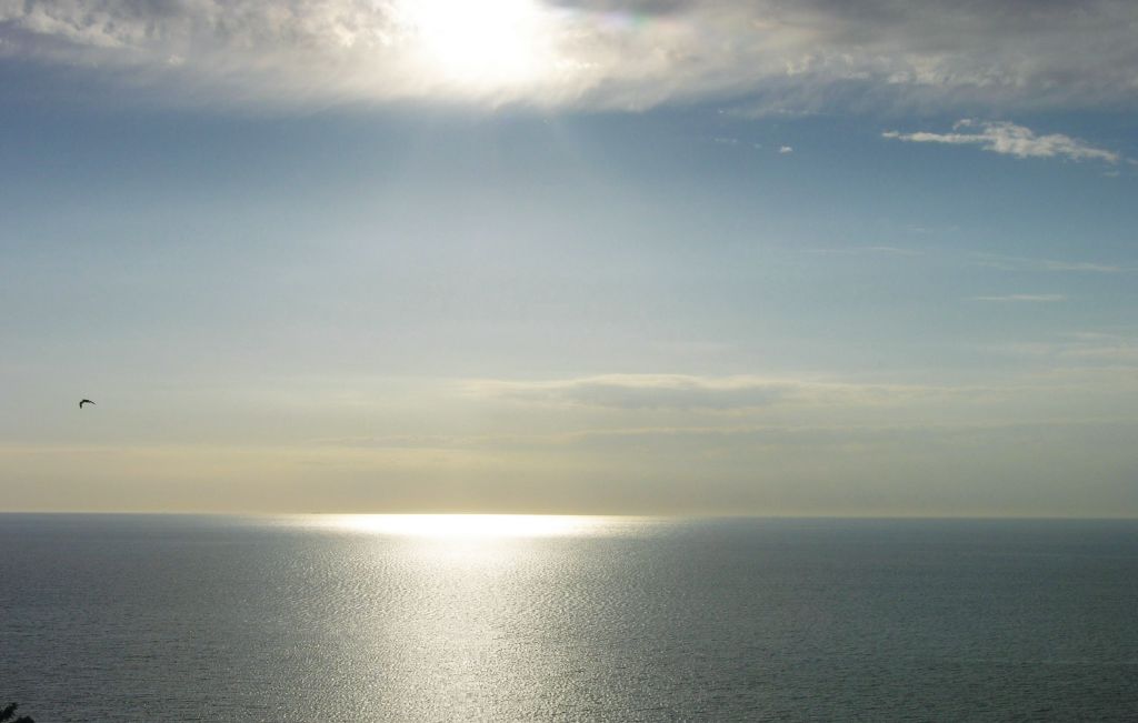 Feriehuse - Vang , Danmark - I55312 12