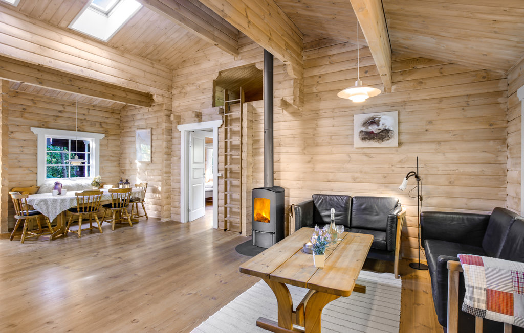 Feriehus - Sorthat , Danmark - I55319 4