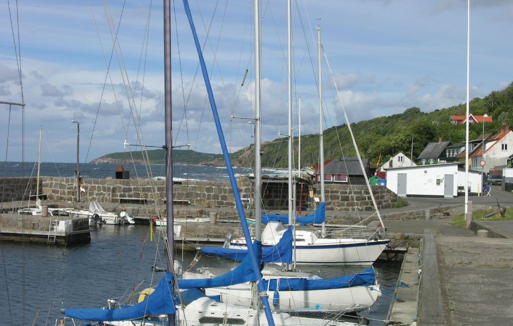 Ferienhaus - Vang , Dänemark - I55313 26