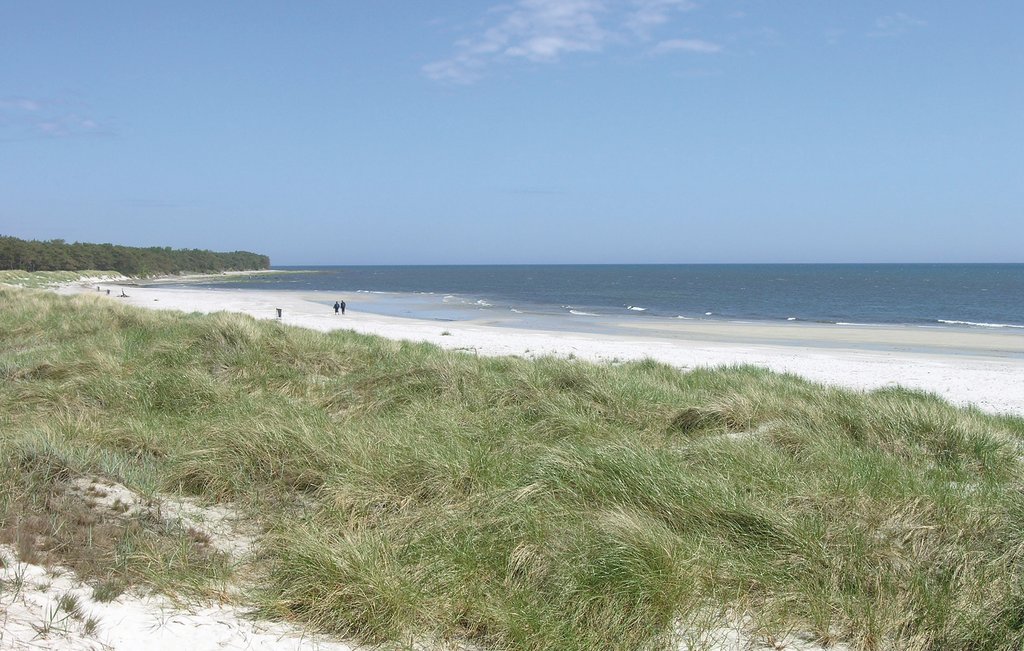 Ferienhaus - Hasle , Dänemark - I55230 16