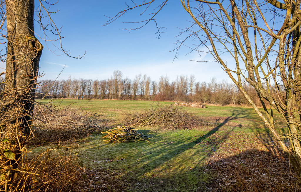 Ferienwohnung - Hasle , Dänemark - I55011 9