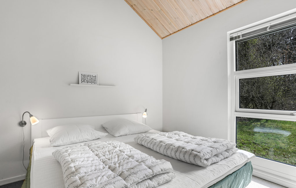 Ferienhaus - hasle , Dänemark - I55027 8