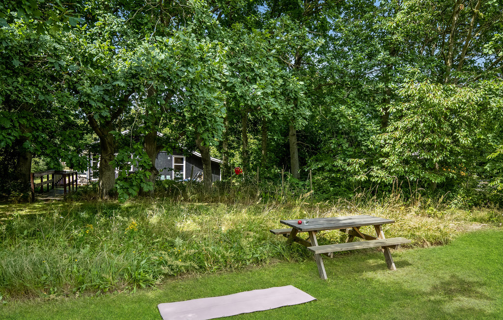 Ferienhaus - Sorthat , Dänemark - I55222 17