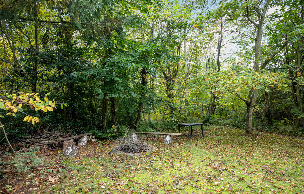 Feriehus - Hasle , Danmark - I55111 15