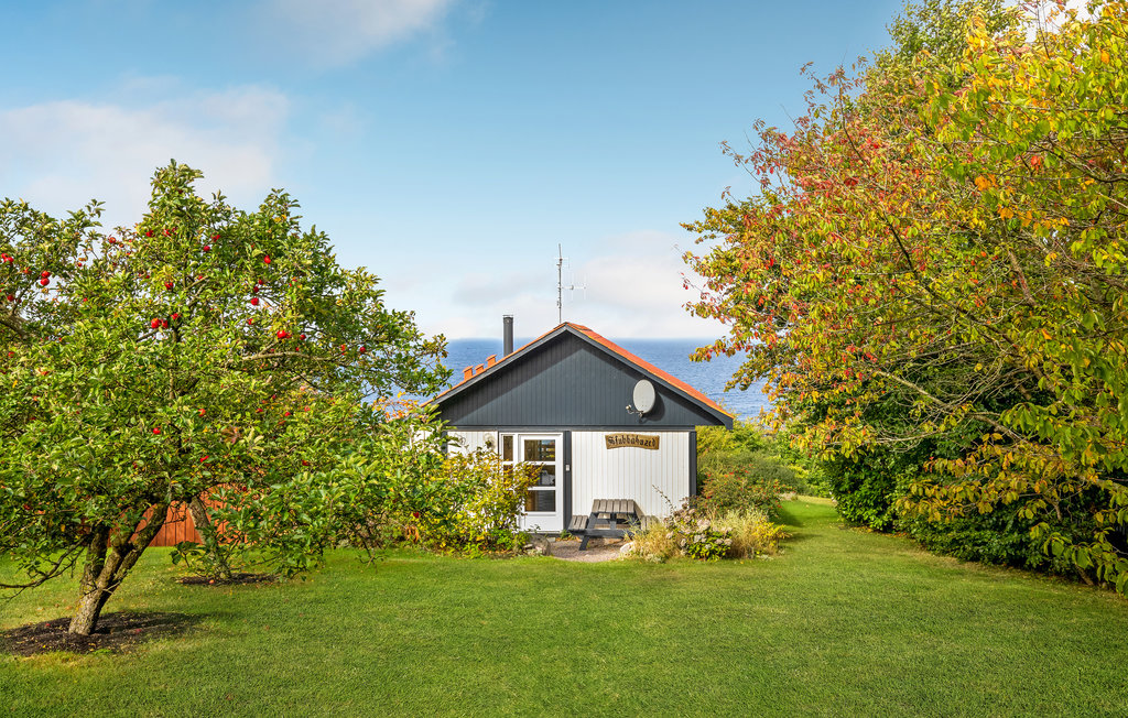 Feriehuse - Vang , Danmark - I55395 6