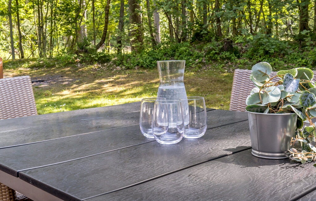 Ferienhaus - Hasle , Dänemark - I55113 14