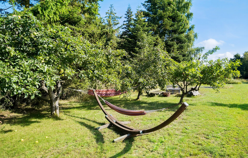 Ferienhaus - Hasle , Dänemark - I55116 14