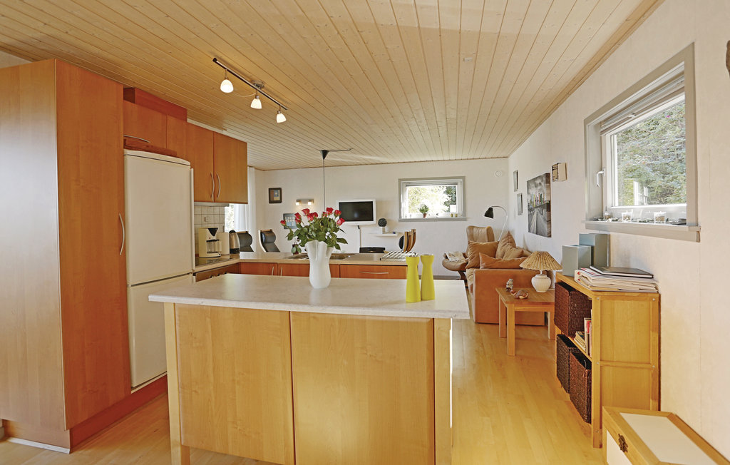 Feriehuse - Tejn/Sandkås , Danmark - I56267 14