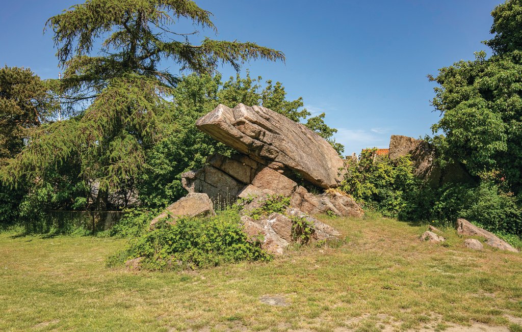 Ferienwohnung - Sandvig , Dänemark - I56151 15