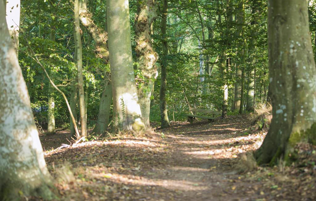 Ferieleilighet - Allinge , Danmark - I56834 21