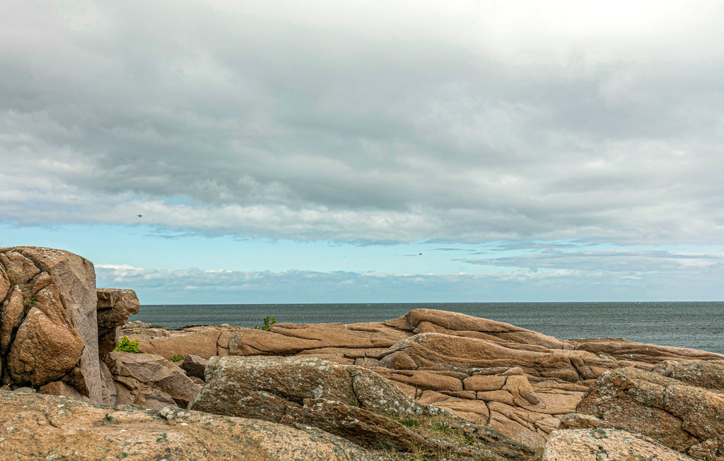 Ferieleilighet - Sandvig , Danmark - I56325 12