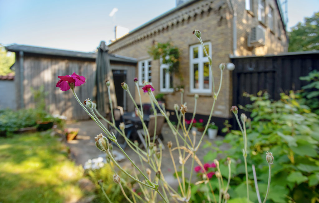 Feriehuse - Allinge , Danmark - I56002 10