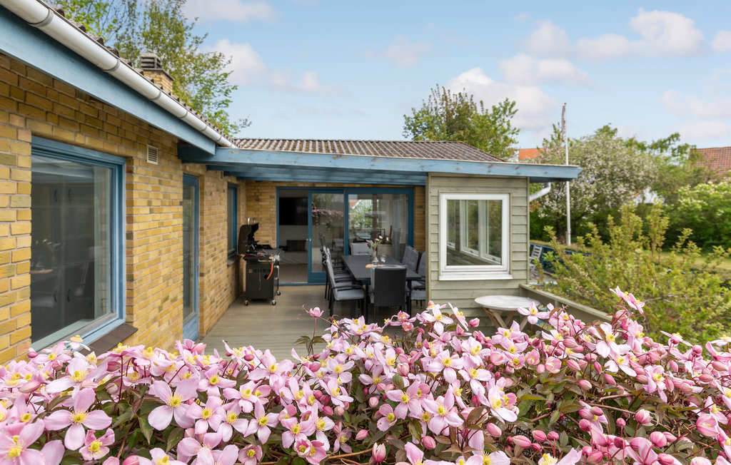 Feriehuse - Tejn , Danmark - I56332 12