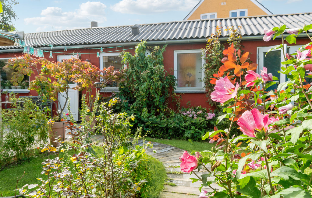 Ferienwohnung - Tejn , Dänemark - I56406 10