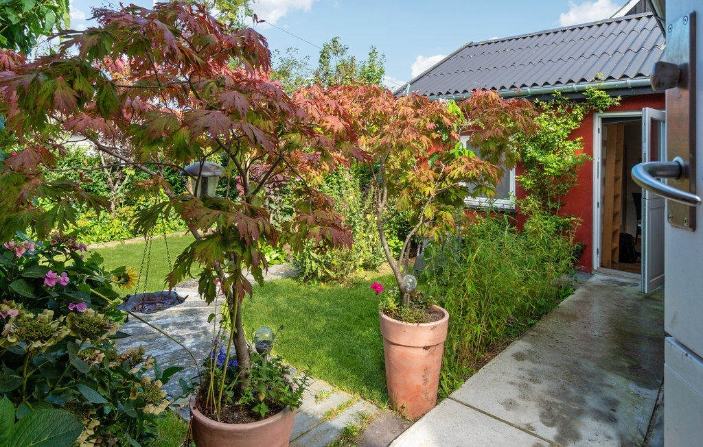 Ferienwohnung - Tejn , Dänemark - I56406 11