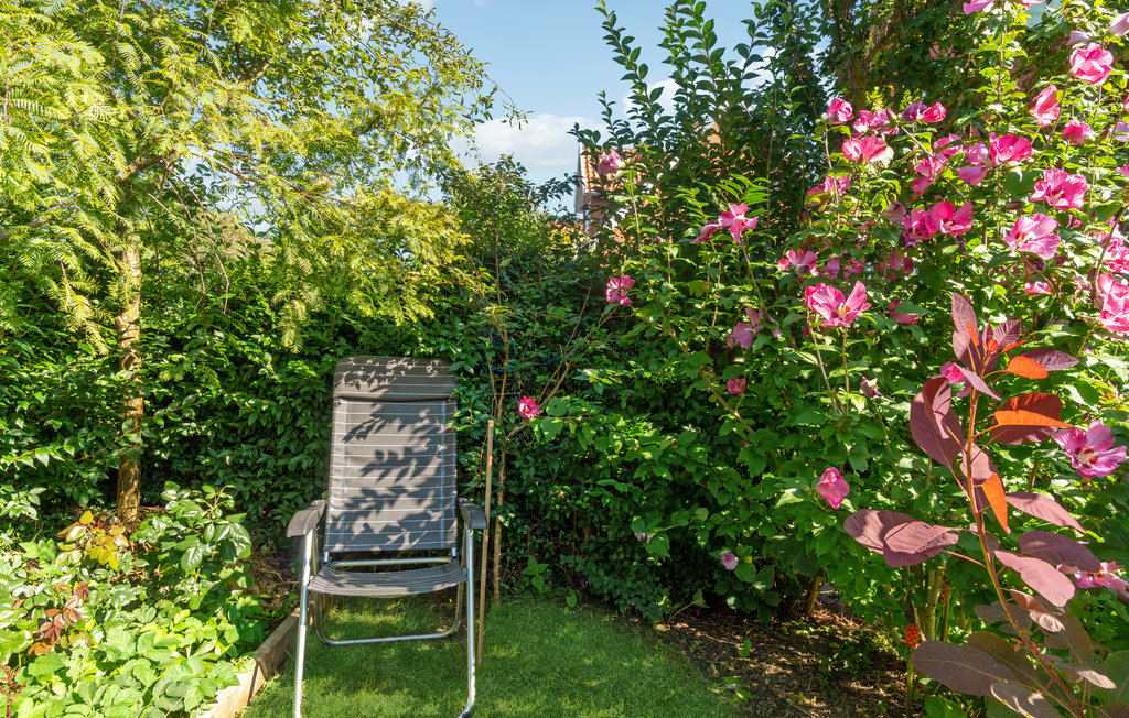 Ferienwohnung - Tejn , Dänemark - I56405 9