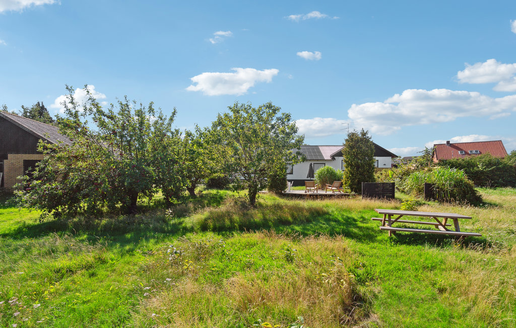 Feriehuse - Tejn , Danmark - I56193 20